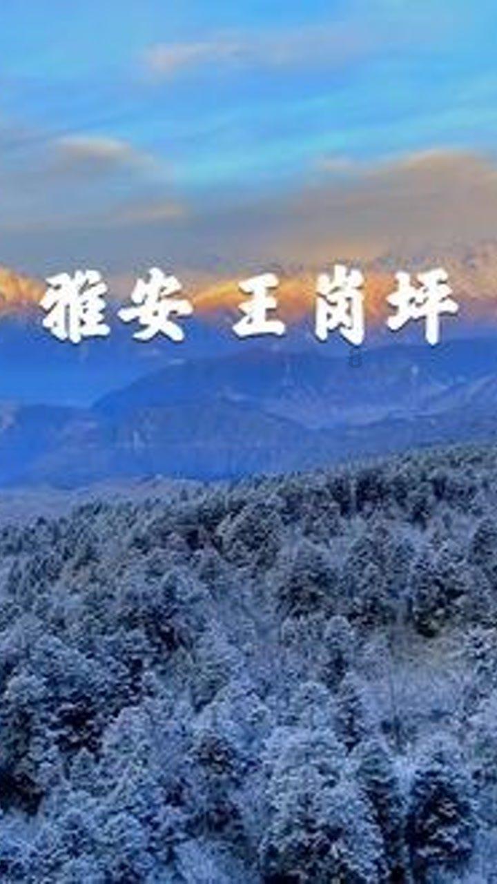 憨豆先生趣味拼图